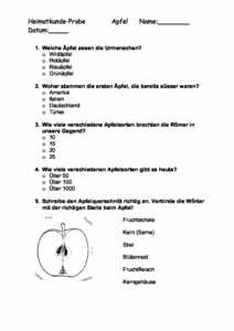 Vorschau themen/apfel/Apfelprobe3.Kl..pdf